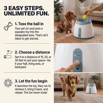 The PawList Ball Launcher